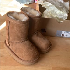 New toddler uggs